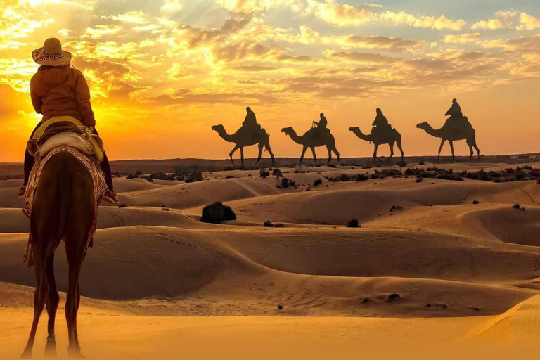 Doha: Safari privado por el desierto con paseo en camello y Sandboarding