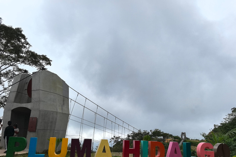 From Huatulco to Pluma Hidalgo: a gastronomic and natural immersion