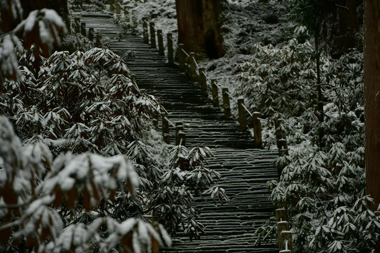 Osaka: Nara’s Hidden-gem Temples, Art Forest Day Tour