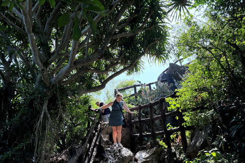 Hue To Hoi An By Private Car With English Speaking Driver