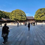 From Kyoto: Tokyo Private Tour with English-Speaking Guide