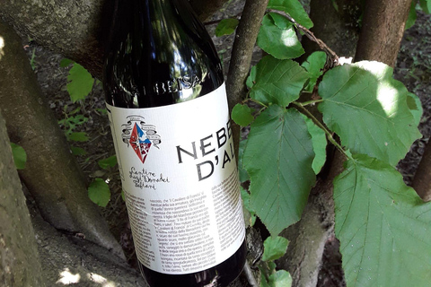 Langhe: Visit to the Vineyard and Historic Cellars with Tasting Langhe: Visit to the Vineyard and Historic Cellars with Wine Tasting