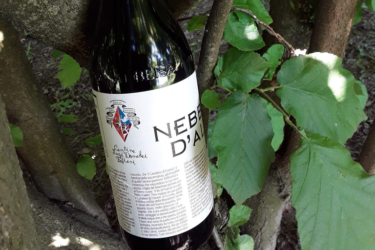 Langhe: Visit to the Vineyard and Historic Cellars with Tasting Langhe: Visit to the Vineyard and Historic Cellars with Wine Tasting