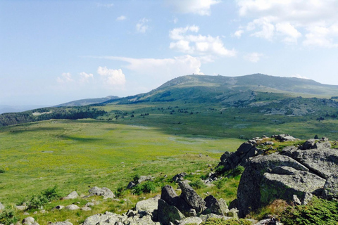 Vitosha rondleiding in kleine groep, Cherni Vruh dagtour vanuit SofiaVitosha rondleiding-Cherni Vruh een dagtour vanuit Sofia