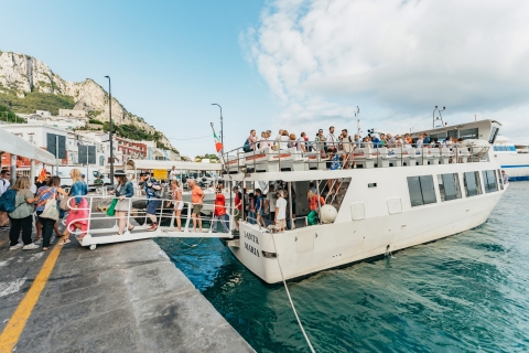 Ab Sorrent: Tagesausflug zur Küste und nach Capri per BootTouroption mit Hotelabholung und Badestopp