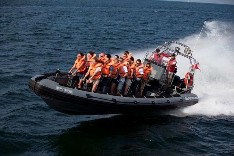 Gdańsk: Bay of Gdańsk Private High-Speed RIB Boat Transfer Sopot to Hel Private High-Speed RIB Boat Transfer