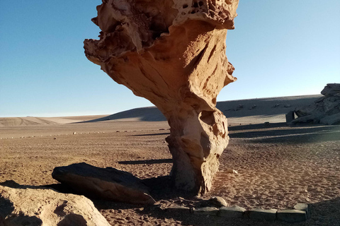 La Paz: Tour Sajama, Salinas de Uyuni, San Pedro de Atacama