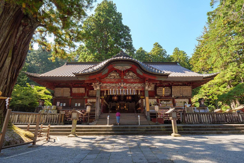 Tokyo: City Full-Day Private Scenic Tour With English Guide