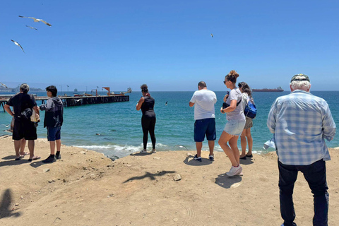 San Antonio Cruise Tour Valparaíso &amp; Casablanca, Santiago