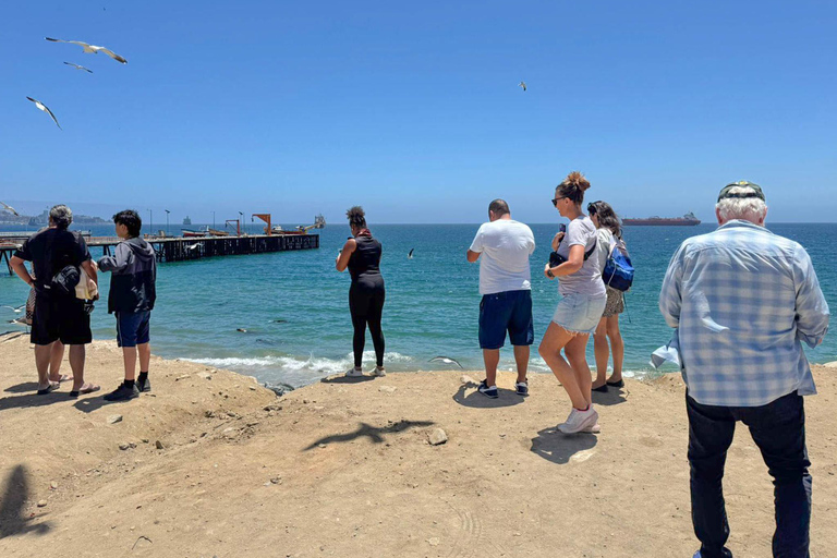 San Antonio Cruise Tour Valparaíso &amp; Casablanca, Santiago