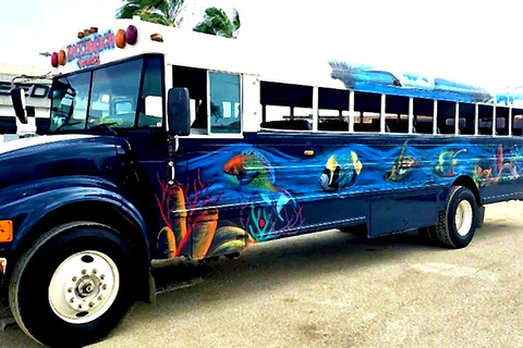 Aruba: Half Island Guided Bus Tour with Iconic Landmarks
