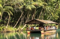 Bohol Tour in campagna con Loboc (Pranzo a buffet) - Hizvo