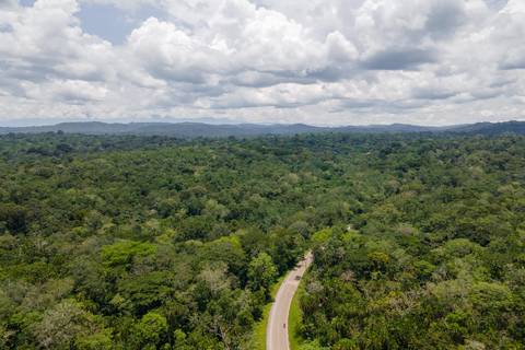 From Kampala: 8-Day Uganda Safari Tour with Transfers