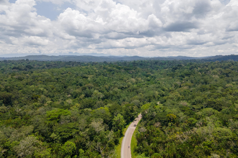 5-Day Uganda Safari: Chimpanzees & Gorillas on midrange