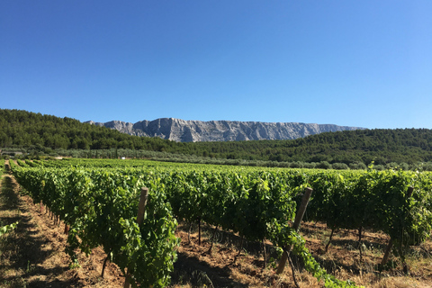 From Aix en Provence: Half-day Wine Tour in Provence Standard Option