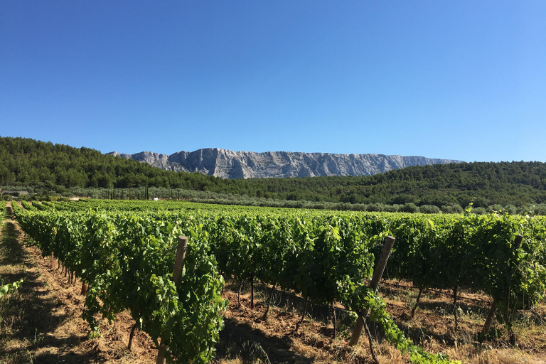From Aix en Provence: Half-day Wine Tour in Provence Standard Option