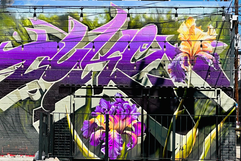 Denver : RiNo Art District Graffiti and Street Art Tour (visite guidée des graffitis et de l'art de la rue)