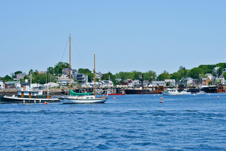 Day Trip From Boston: Kayak Tour through Gloucester Harbor