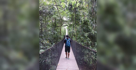 La Fortuna: Canyoning & Hanging Bridges