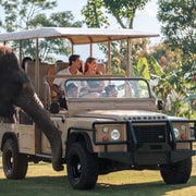 Bali Zoo: Guided Elephant Explorer Observation Experience Bali Zoo: Guided Elephant Explorer Observation Experience