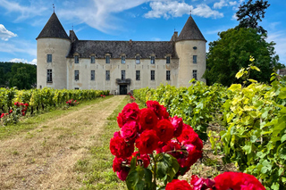 Dégustation de vins de Bourgogne au Château de Savigny-lès-Beaune