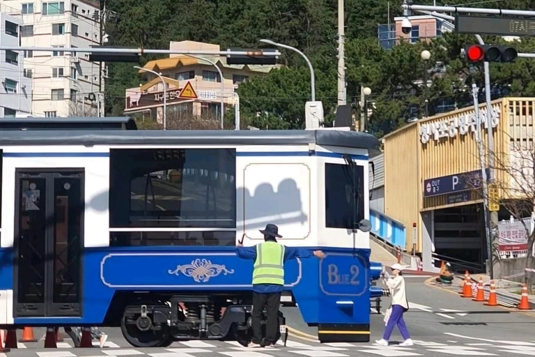 Visite privée personnalisable de Busan en taxi ou en fourgonnette (jusqu&#039;à 8 personnes)