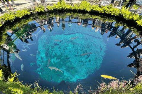 Tokyo: Mt. Fuji & Lake Kawaguchi Small Group Tour - 6 Spots Hotel Pickup Option