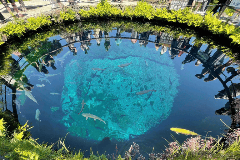 Tokyo: Mt. Fuji & Lake Kawaguchi Small Group Tour - 6 Spots Hotel Pickup Option