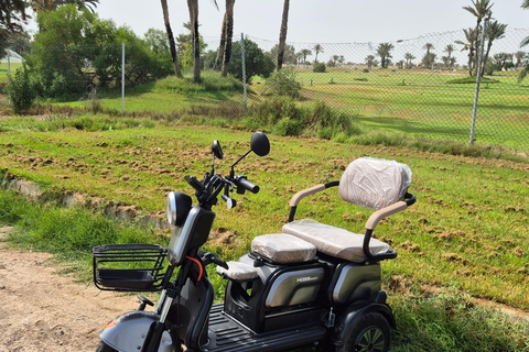 Djerba in Electric Mode: 3 Wheels, 3 Adventurers, Ready to Explore the Island? Djerba: Electric 3-Wheeler Ride for a Fun Family Experience