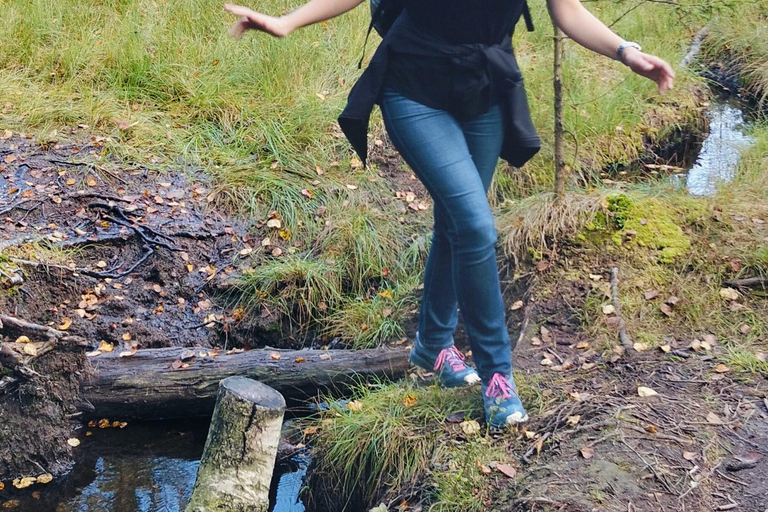 Oslo: Scenic Forest Walk with Coffee and Bonfire Waffles