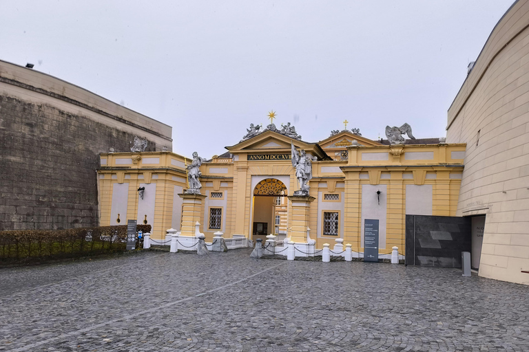 Tour di lusso in furgone: Salisburgo, Hallstatt e molto altro per il tuo gruppo