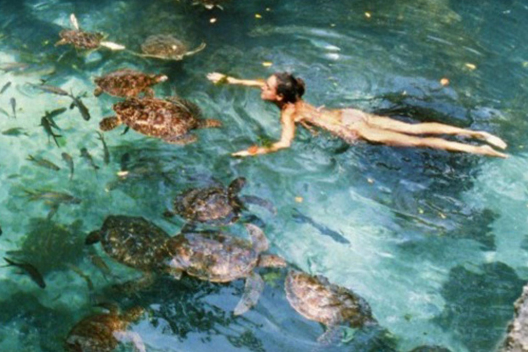Zanzibar: Jozani forest and Salaam Cave Swim with turtles