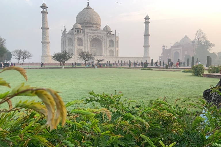 Von Delhi: Taj Mahal Premium Ganztägig Agra mit Auto und Fahrer