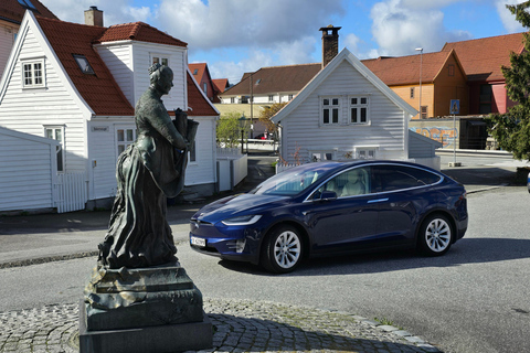Bergen in Tesla: dall&#039;età del ferro alla vita modernaTour di 3 ore