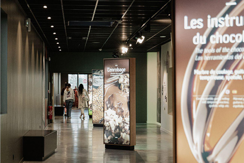 Guided tour of the chocolate factory and tasting in Trèbes Tasting and self-guided tour of the workshops