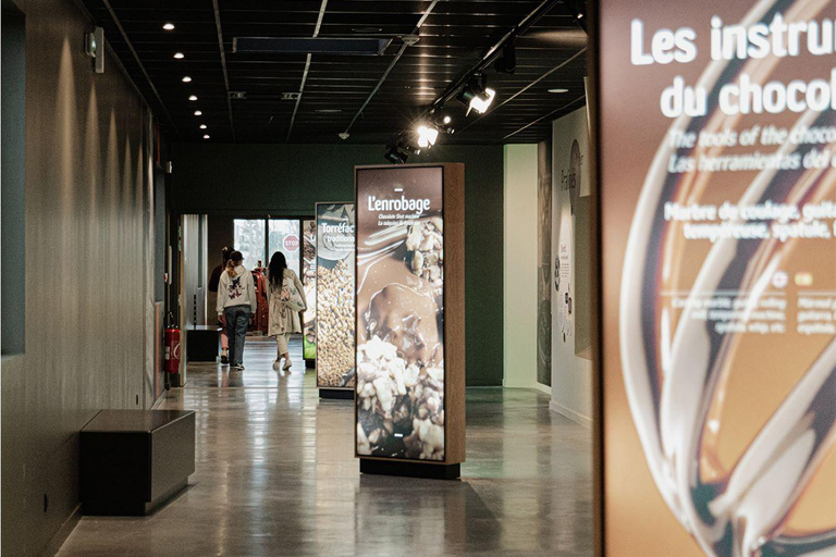 Guided tour of the chocolate factory and tasting in Trèbes Self-guided tour of our workshops