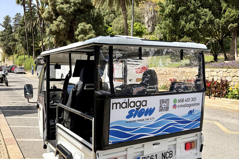 Málaga: Private Tuk Tuk Sightseeing Tour of the City and Gibralfaro