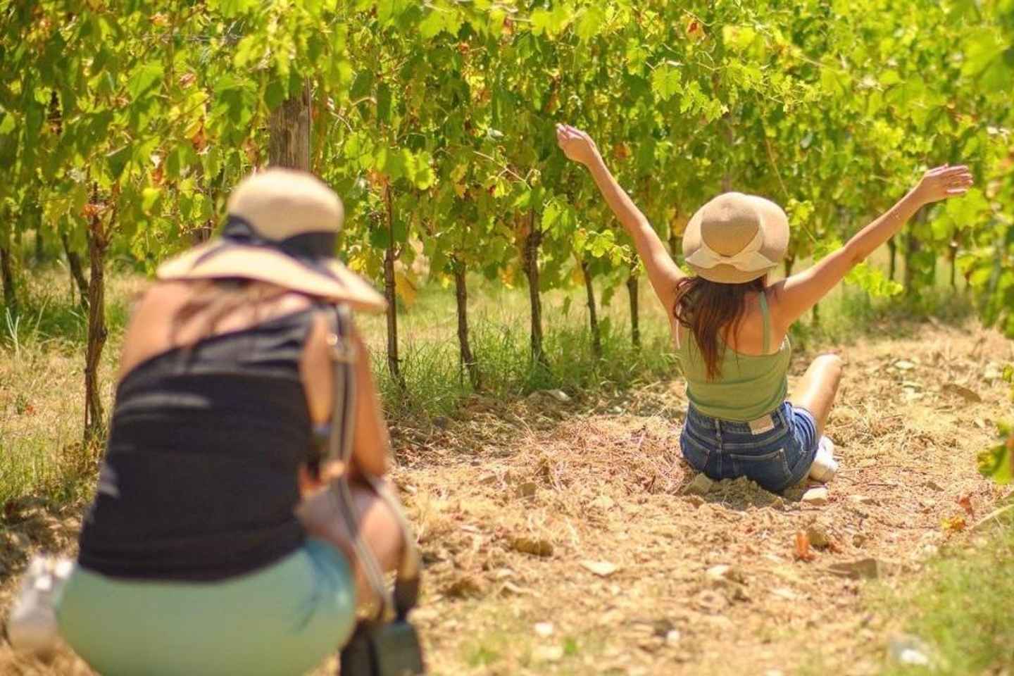 Romanian Wine Tasting Tour & Appetizers with Sommelier