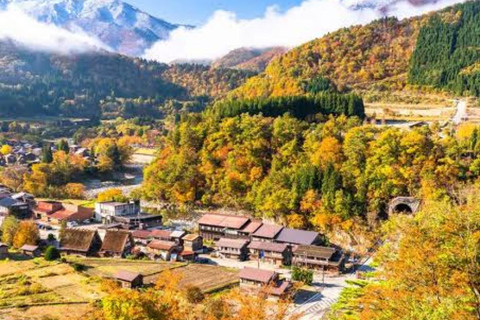 Tokyo: Hida Takayama & Shirakawa-go Day Trip with Guide