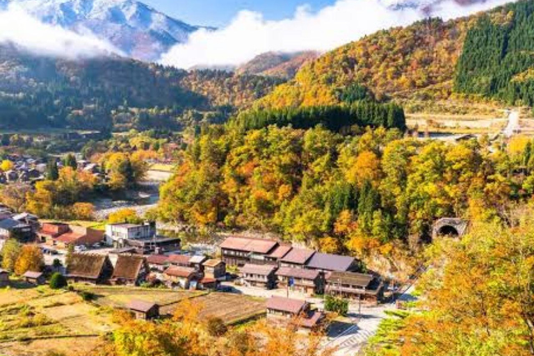 Tokyo: Hida Takayama & Shirakawa-go Day Trip with Guide
