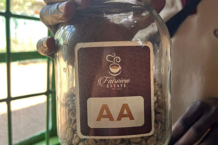 Fairview Coffee Farm Day Tour From Nairobi