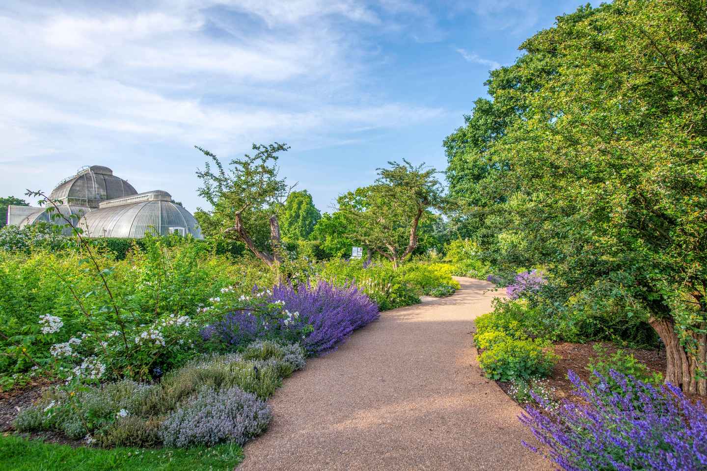 London: Kew Gardens Admission Ticket - London: Kew Gardens Admission Ticket