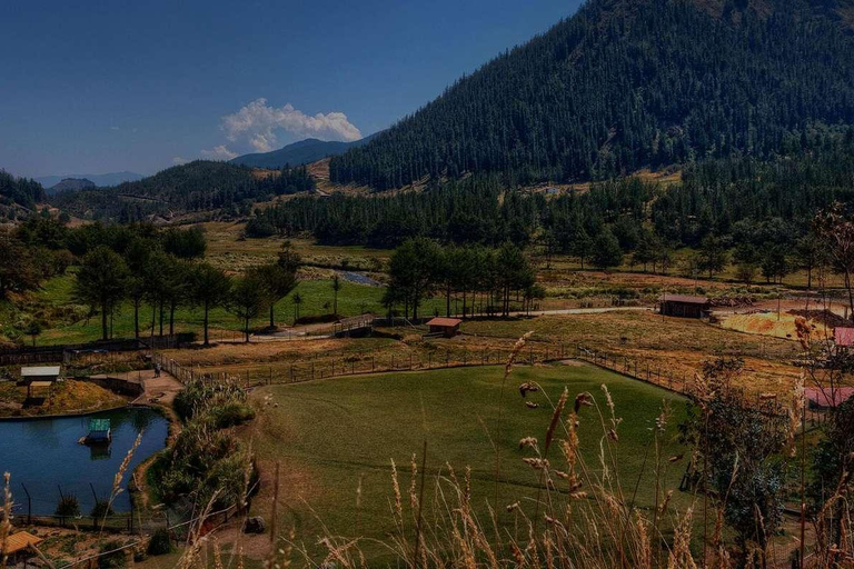 Visita ao Vale de Cajamarca - Lagoa San Nicolas