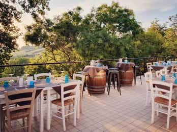 Marche Wines: Explore the Richness of Local Flavors
