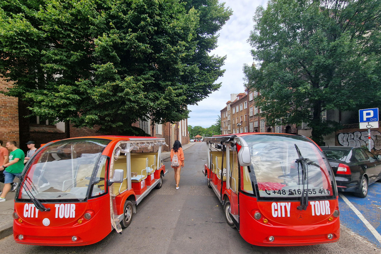 Gdansk: Delad eller privat tur Stadsvandring Sightseeing med golfbilGemensam gruppresa från mötesplats