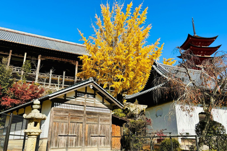 Miyajima: Half Day Private Tour from Hiroshima Station