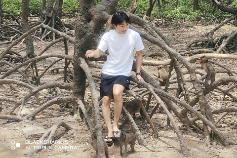 Can Gio Mangrove Forest and Monkey Island full day tour