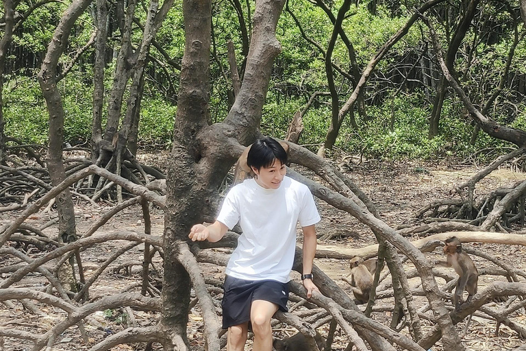 Visite d&#039;une jounée de la forêt de mangroves de Can Gio et de l&#039;île aux singes