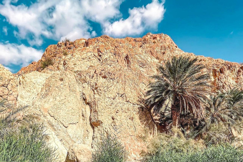 Départ de Tunis :Safari Sahara entre Oasis Mystiques et Aventure Désertique