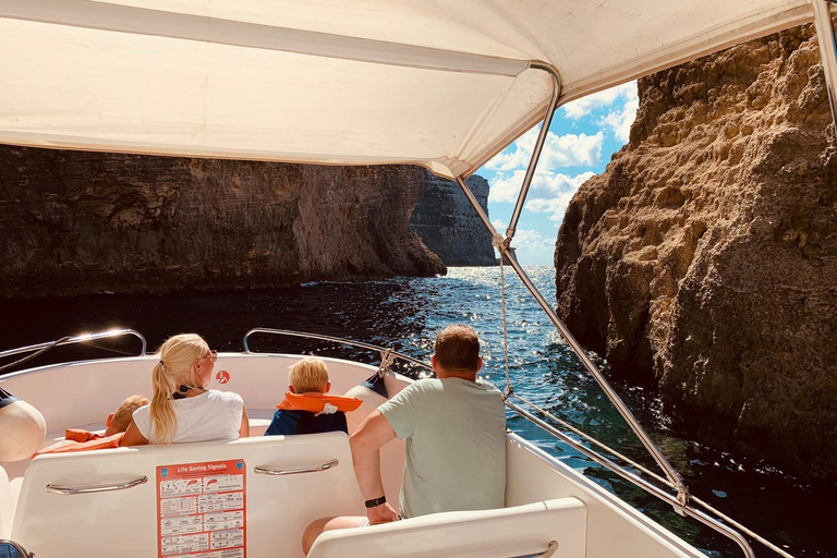 Desde Mellieha Excursión en lancha rápida por las Cuevas de Comino y la Laguna Azul